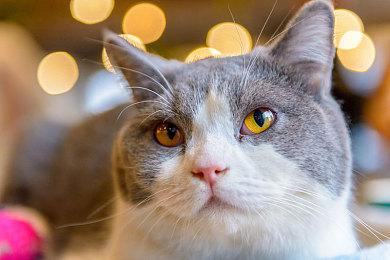 《浩劫前夕》开发商申请新商标 游戏或面临更名